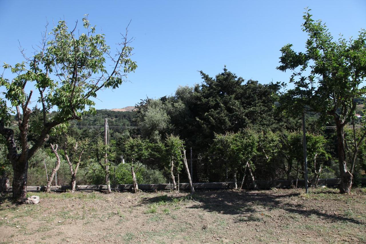 Вилла Hellenick House Agios Ioannis  Экстерьер фото